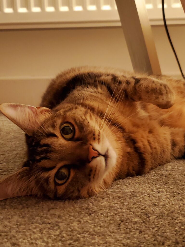 Image #1 from Carmen Cochior Plescanu