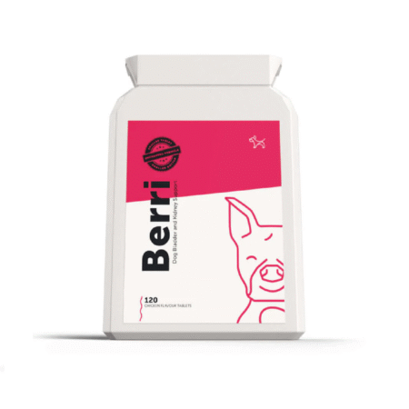 BERRI – Bladder & Kidney Cranberry SUPPLEMENT for Dogs 120 tablets