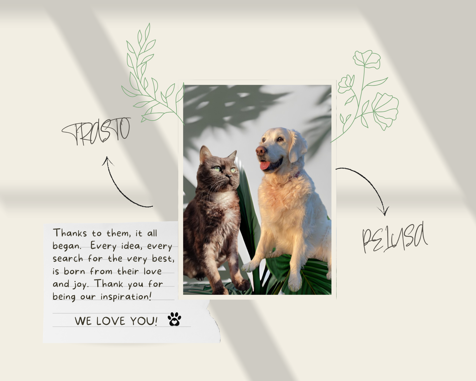 Indar Pet RENAL & URINARY SUPPORT