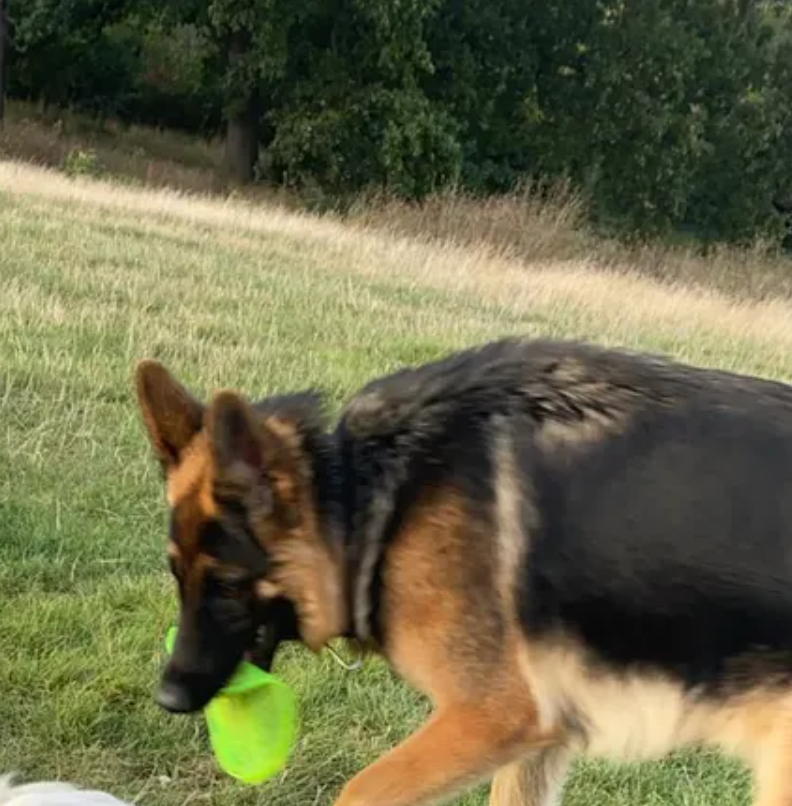 Image #1 from Anonymous