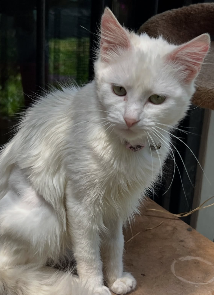 Image #1 from Anonymous