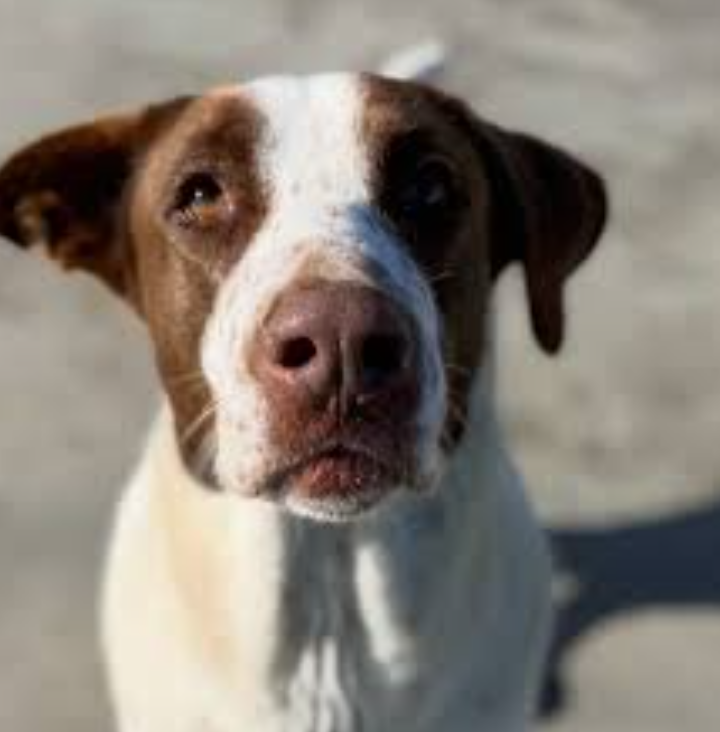 Image #1 from AMANDA567