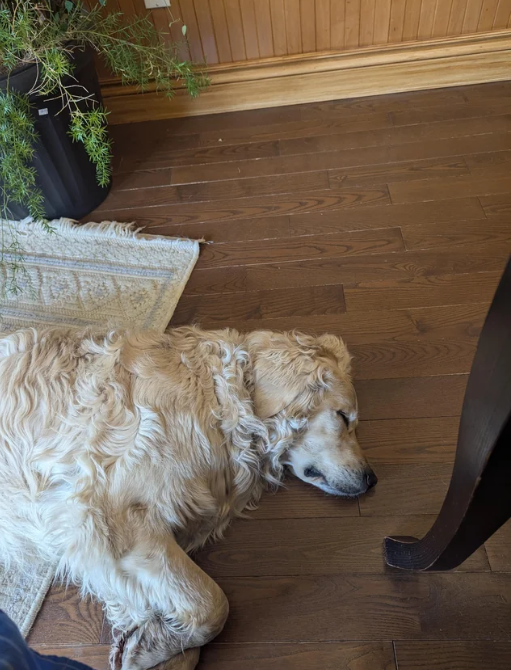 Image #2 from AClarke