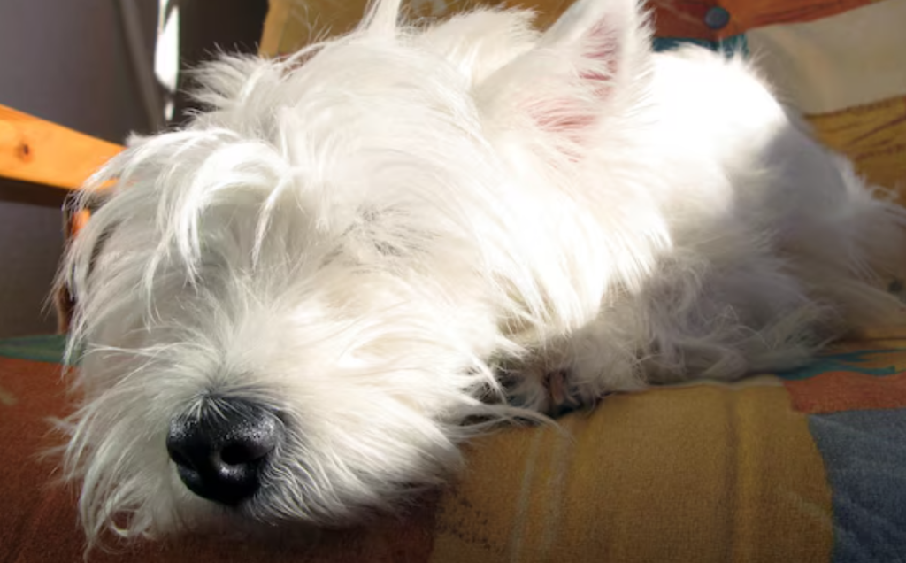 Image #1 from Anonymous