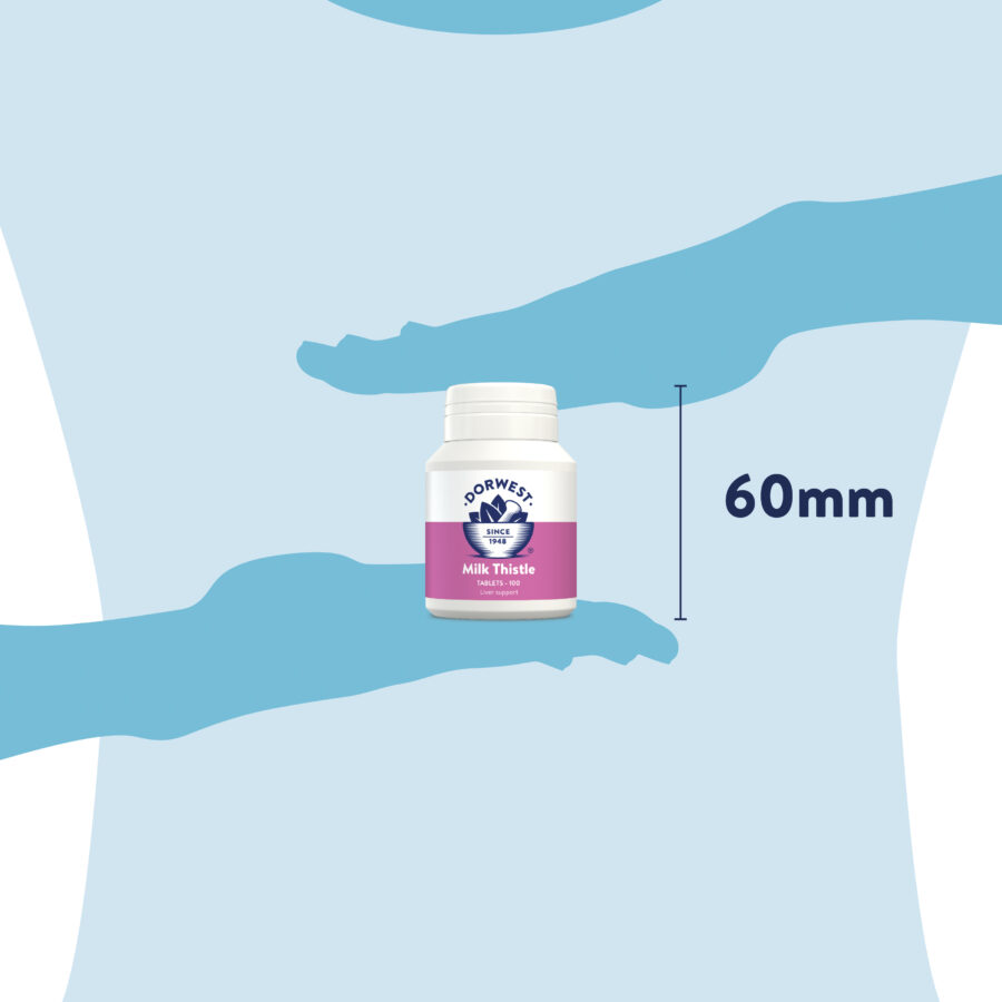 Milk Thistle Tablets