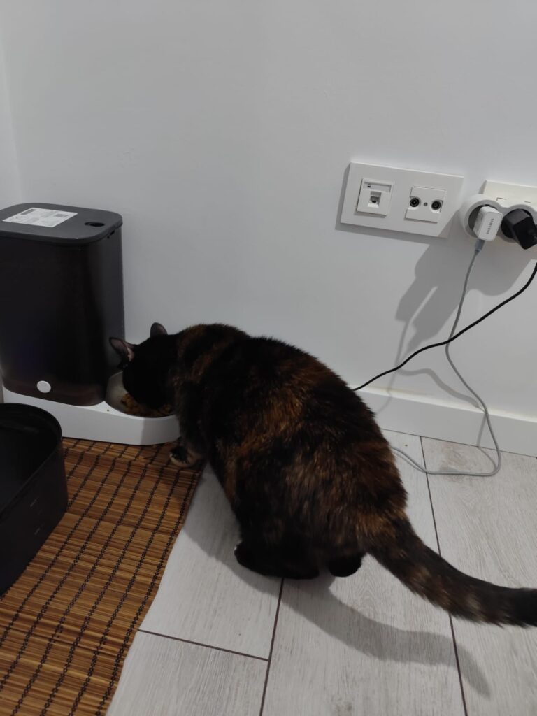 Image #1 from Isolde F