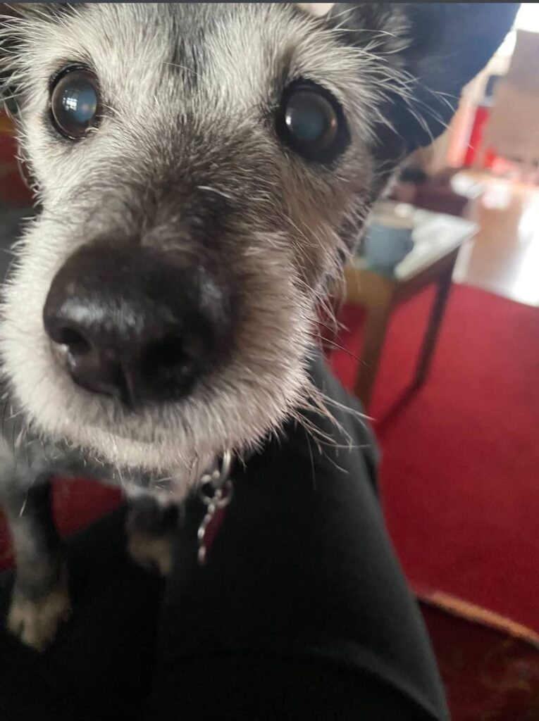 Image #1 from JSingh486