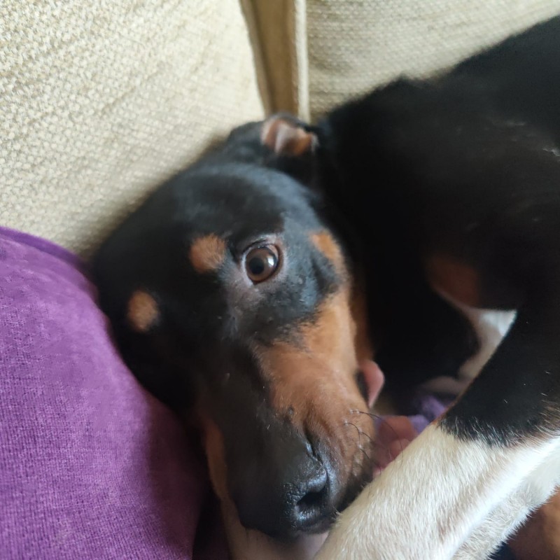 Image #1 from Ewan B