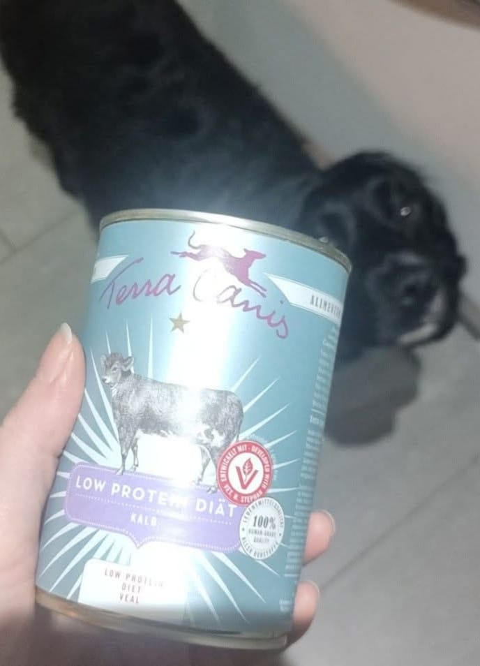 Image #1 from Arjun A