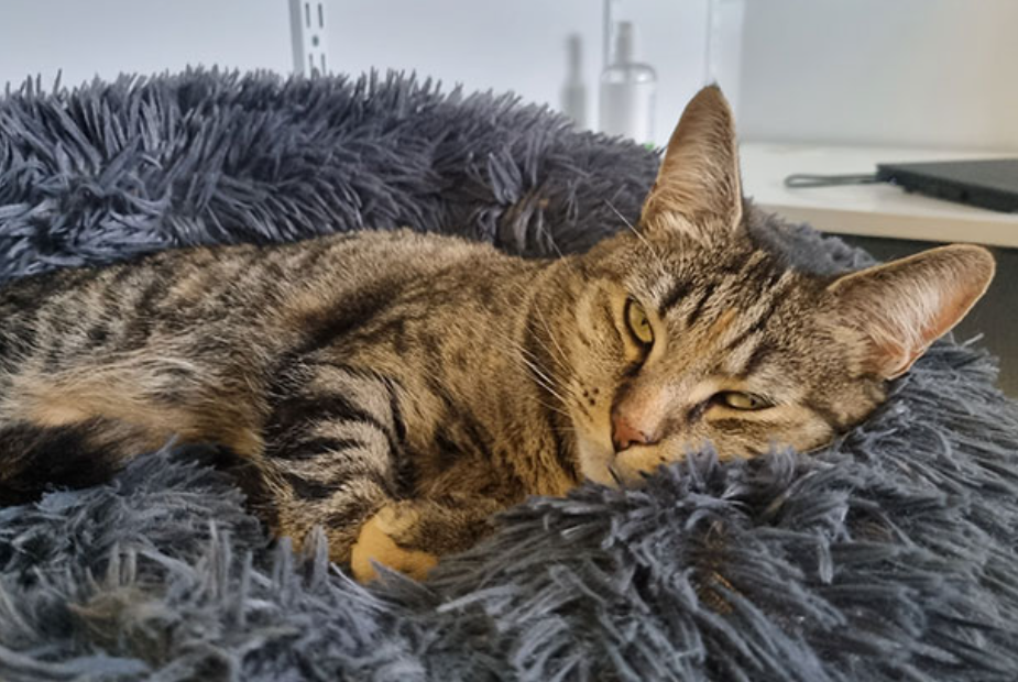 Image #1 from P Bennett