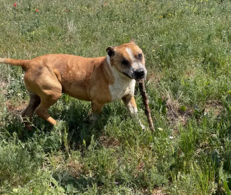 Image #1 from R Whitmore