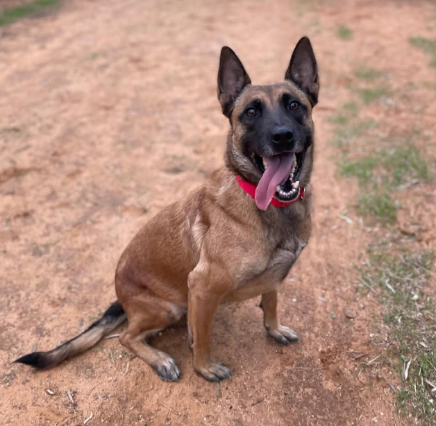 Image #1 from Parker872