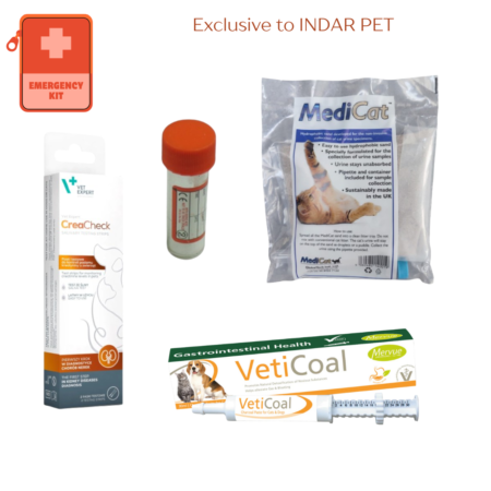 Renal and Urinary Emergency Home Support Kit for Cats