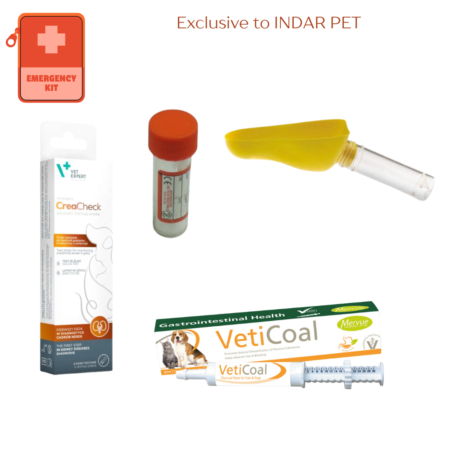 Renal and Urinary Emergency Home Support Kit for Dogs
