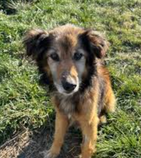 Image #1 from Anonymous