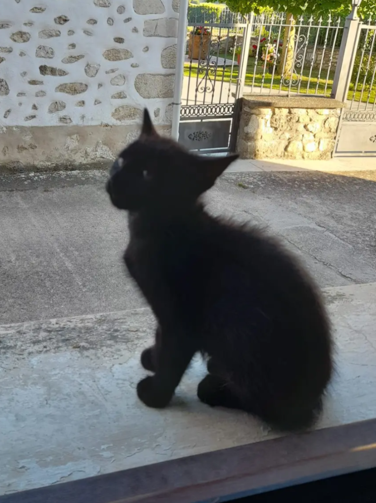 Image #1 from Anonymous