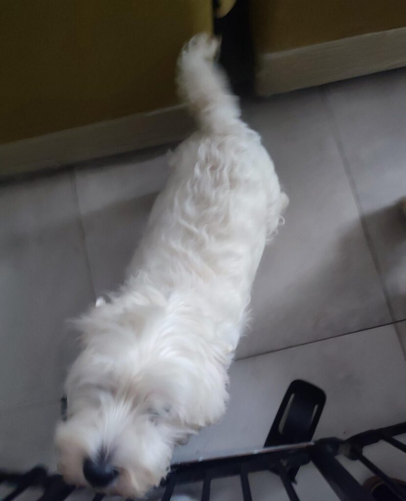 Image #1 from Anonymous