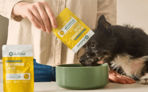 Dog eating supplement powder from a yellow packet, with liquid supplement nearby.
