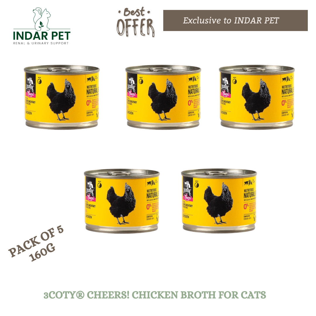 3COTY® CHEERS! Chicken Broth for Cats – Urinary & Kidney Support | 5 x 160g