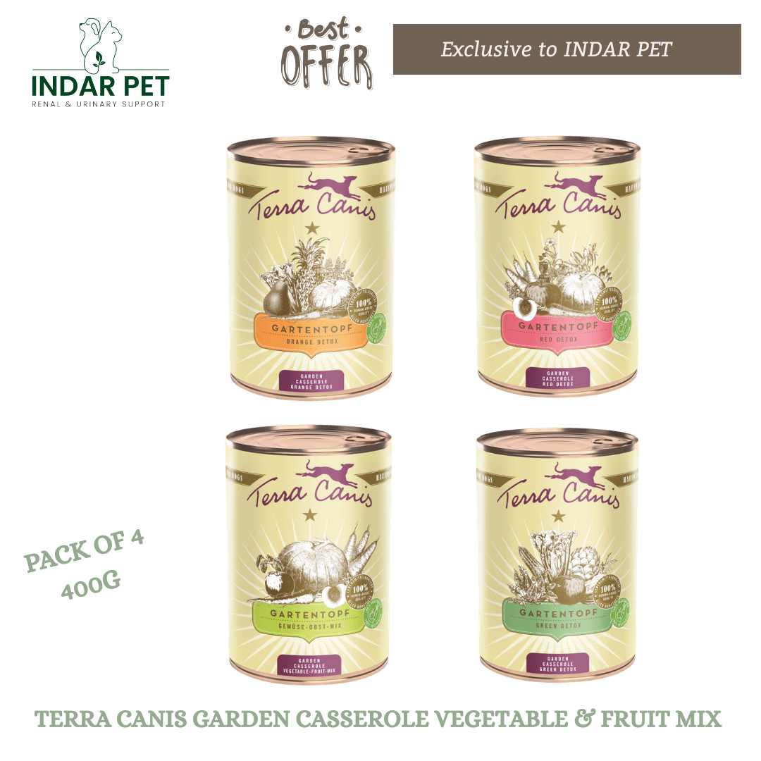 Terra Canis Garden Casserole Vegetable & Fruit Mix for Dogs – 4 x 400g Variety Pack